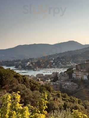 L'Arca Tra gli Ulivi, Rapallo