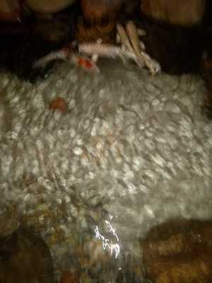 Restaurante Bom Jesus