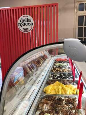 Della Mucca Gelateria