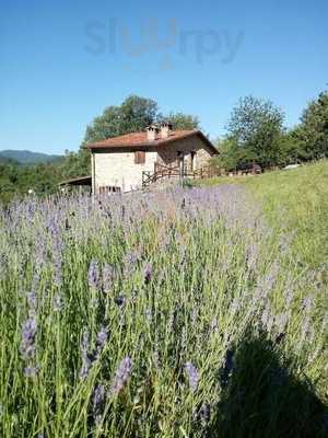 Agriturismo Il Casale, Brugnato