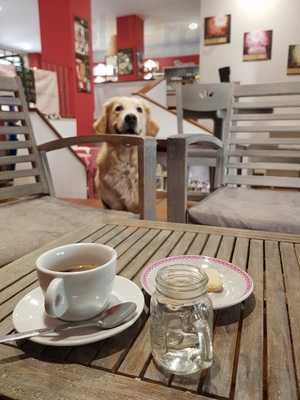 Dolcezze in Galleria, Imperia