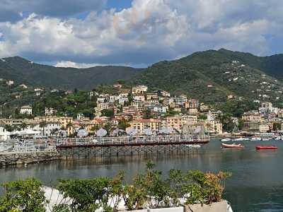 Ristorante del Porto Carlo Riva, Rapallo