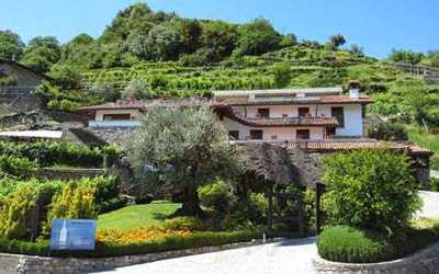 Agriturismo Sorsasso