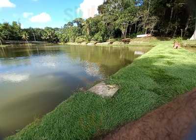 Restaurante E Lanchonete Paraky