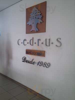 Cedrus