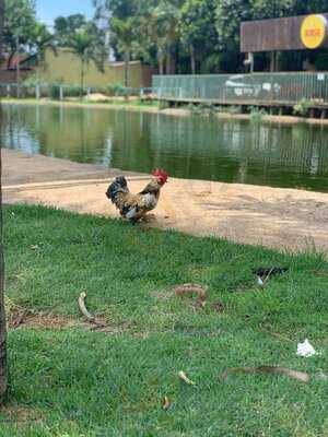 Restaurante E Pesque E Pague Bonifácil