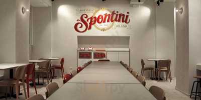 Spontini