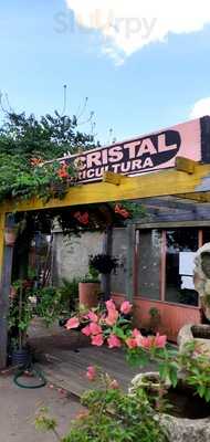 Floricultura Cristal