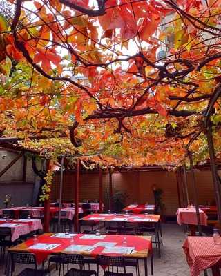 Trattoria San Filippo Neri