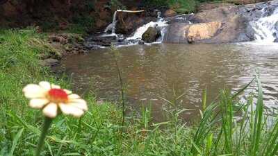 Balneario Grilo