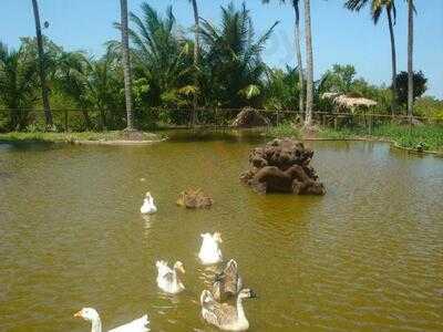 Fazendinha Parque Raposa