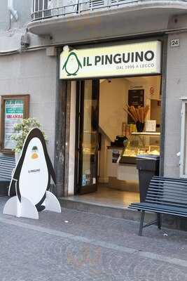 Gelateria Il Pinguino, Lecco