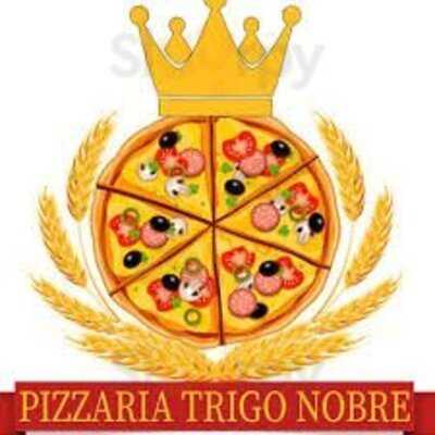 Pizzaria Trigo Nobre - Delivery