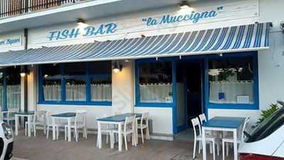 Fish Bar  La Muccigna, Civitanova Marche