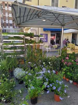 La pescheria del centro, San Benedetto Del Tronto