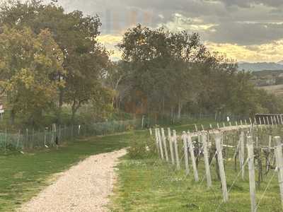 Agriturismo Bartolacci, San Costanzo