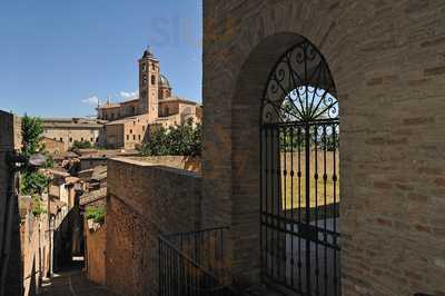 Raffaello, Urbino