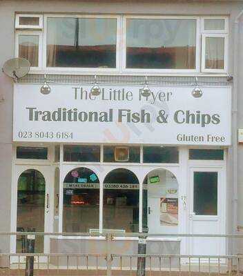 The Little Fryer