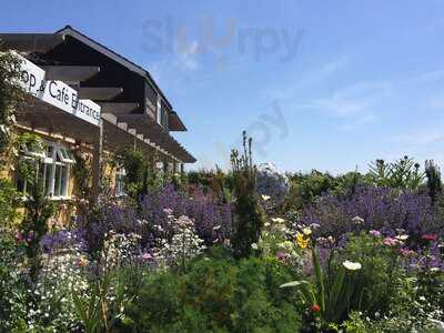 Darsham Nurseries Cafe