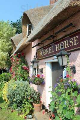 The Sorrel Horse