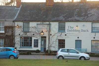 The Dabbling Duck