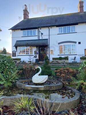 The White Swan