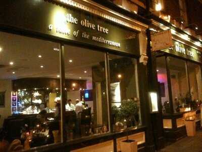 The Olive Tree