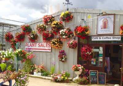 Potting Shed Cafe