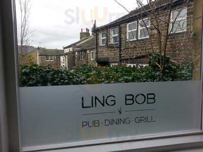 The Ling Bob