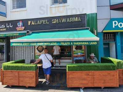 Falafel & Shawarma Land