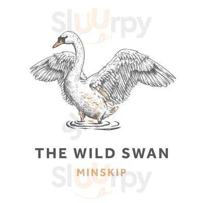 The Wild Swan