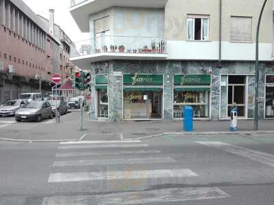 Fiorio Gelati, Torino