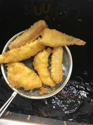 Family Fish Plaice