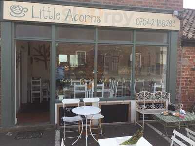 Little Acorns