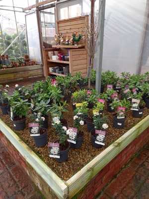 Broadland Nurseries