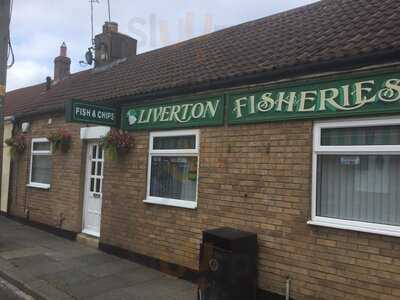 Liverton Mines Fisheries