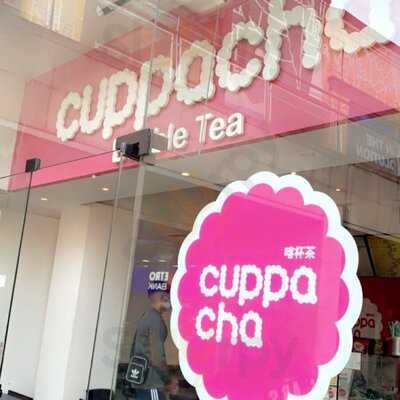 Cuppacha