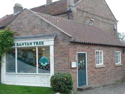 The Banyan Tree