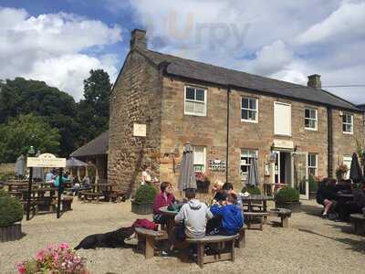 Castle Tea Room