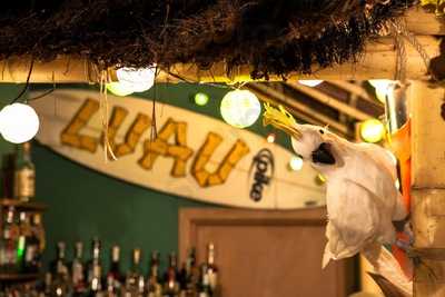 Luau Tiki Bar, Bari