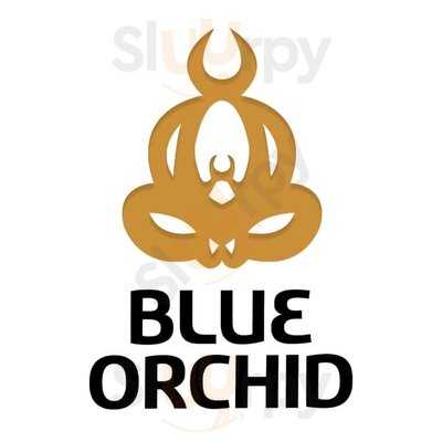 Blue Orchid Thai & Indian Cuisine