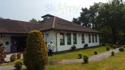 Haldon Forest Diner