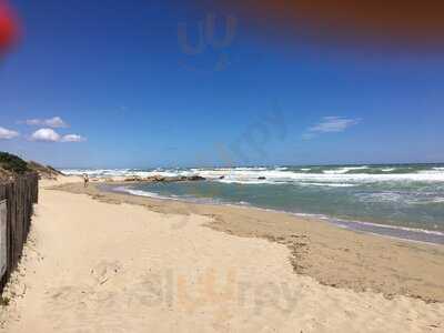 Crazy bull on the beach, Marina Di Ostuni