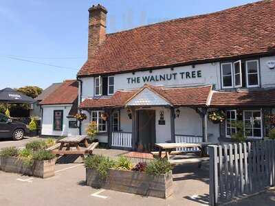 The Walnut Tree