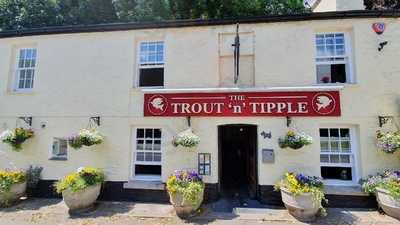 Trout And Tipple