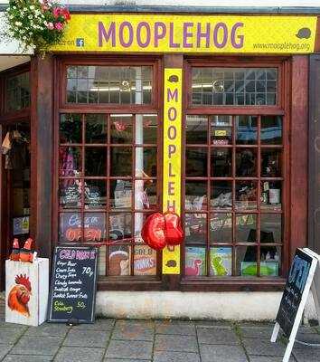 Mooplehog