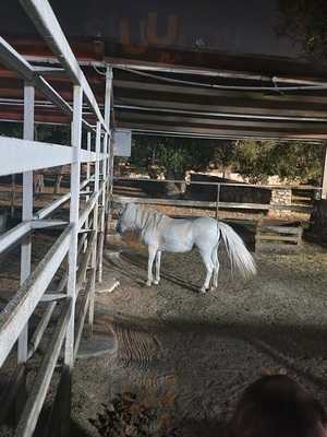 La Macchia degli Esperti, Molfetta