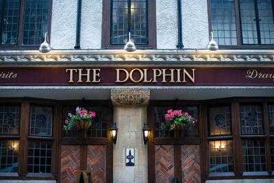 The Dolphin