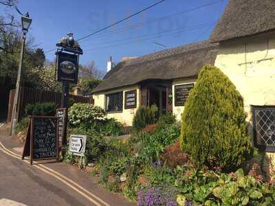 The Thatched Tavern