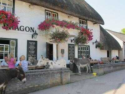 The Green Dragon